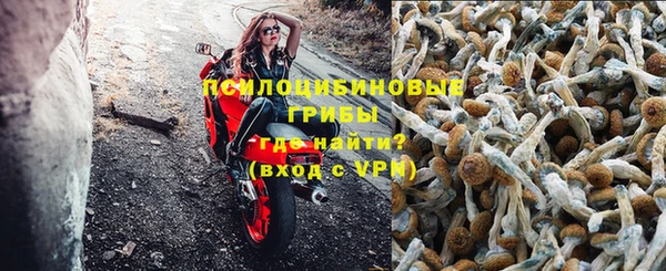 ПСИЛОЦИБИНОВЫЕ ГРИБЫ Михайловск