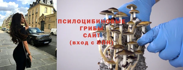 гашик Наволоки