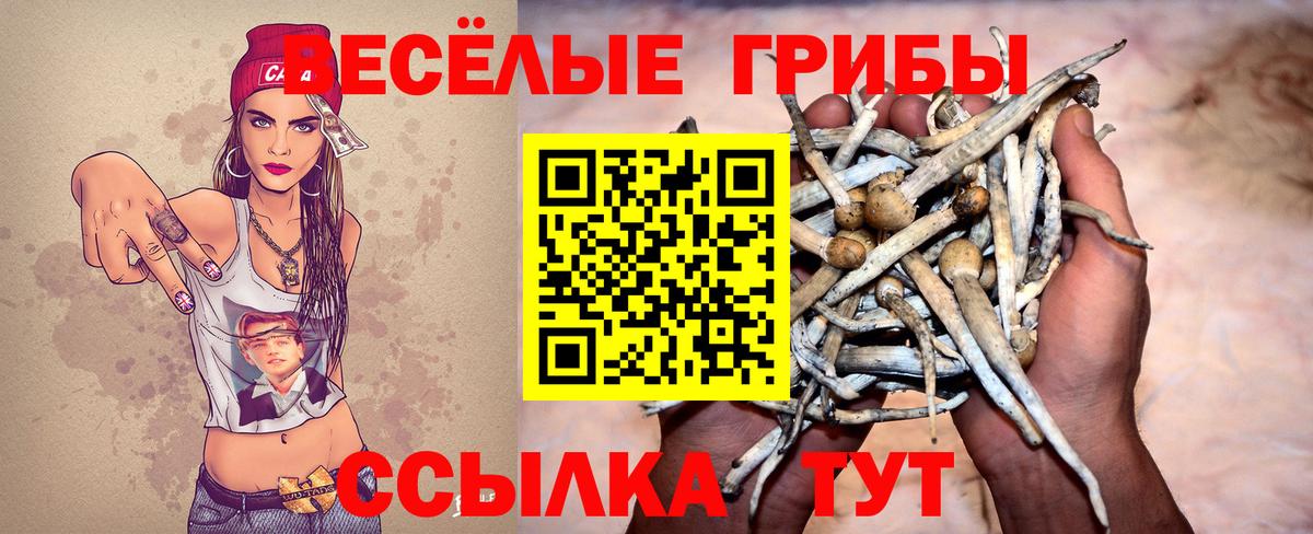 Галлюциногенные грибы Cubensis  Псилоцибиновые грибы мицелий  Волгоград 