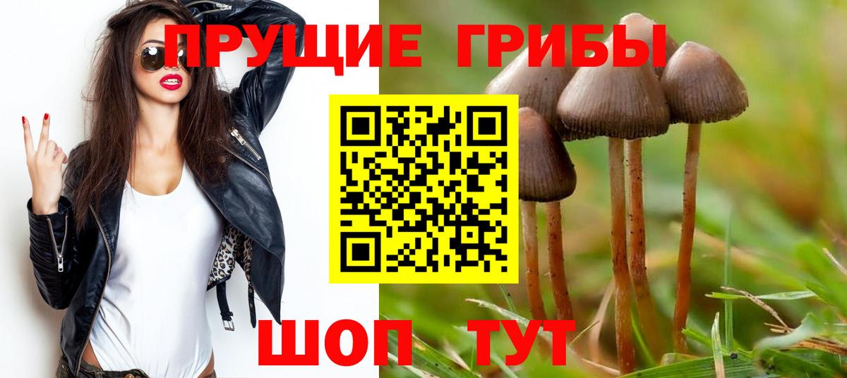 Галлюциногенные грибы мицелий Волгоград