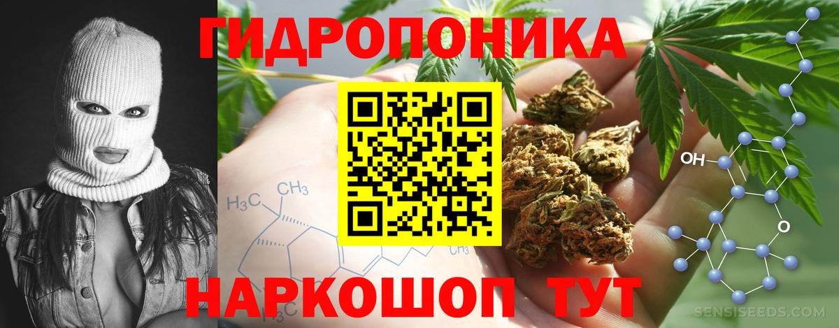Бошки марихуана планчик Волгоград