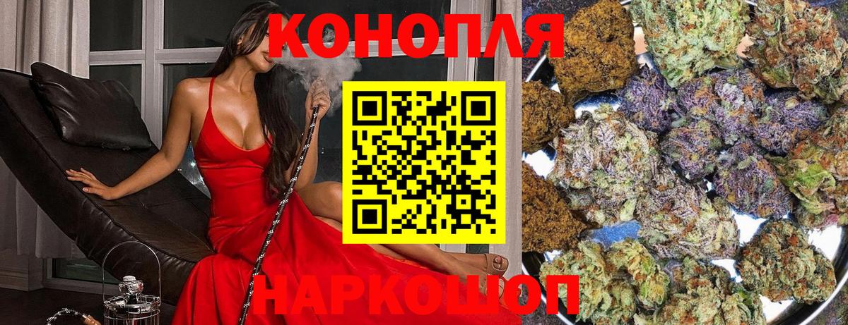 Конопля сатива  Каннабис ГИДРОПОН  Волгоград 